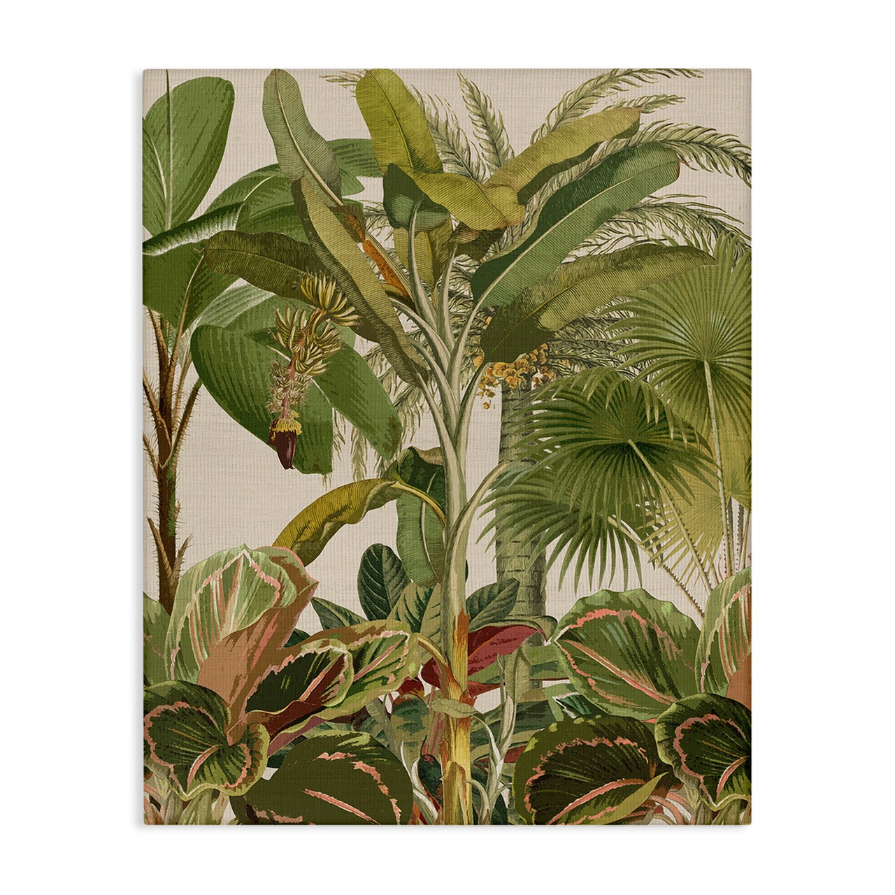 Stupell Industries Tropical Jungle Vegetation Canvas Design By Amber Sterling